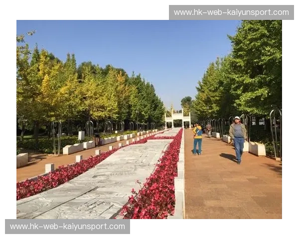 芳华再燃：2017中国女排vs全世界，那场关于热爱与传承的巅峰征途